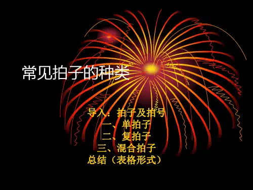常见拍子的种类