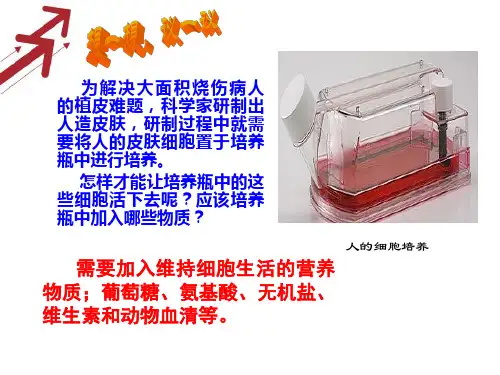 《第四节  细胞的生活》PPT课件