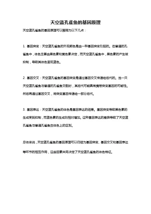天空蓝孔雀鱼的基因原理