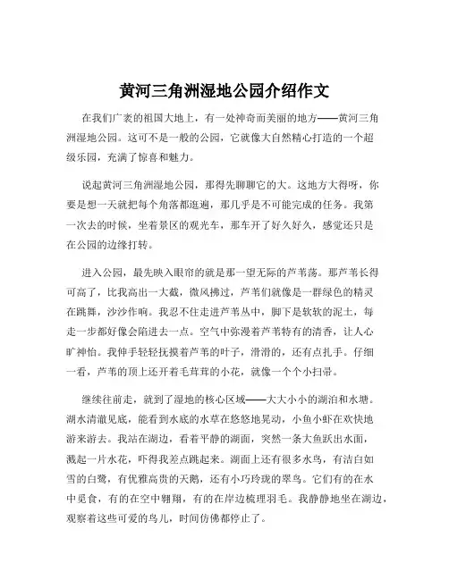 黄河三角洲湿地公园介绍作文