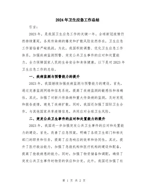 2024年卫生应急工作总结