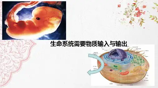 新版人教版高中生物第四章 细胞的物质输入与输出 (共21张PPT)学习演示PPT课件