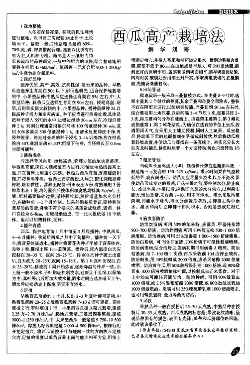 西瓜高产栽培法