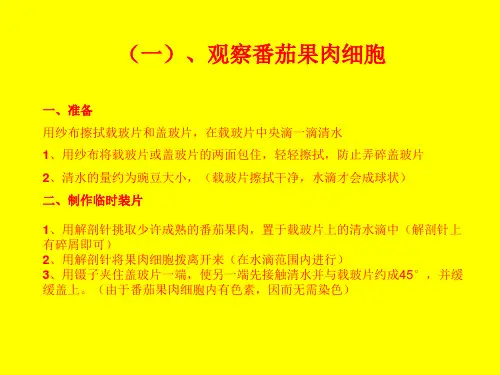 生物番茄实验操作要点