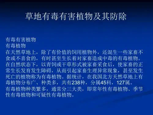 草地有毒有害植物及其防除