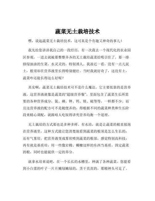 蔬菜无土栽培技术