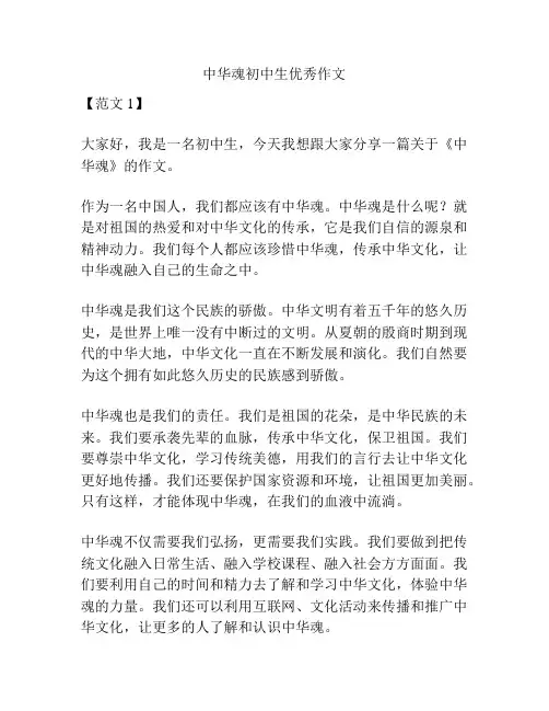 中华魂初中生优秀作文