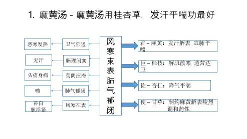 中医方剂思维导图(精品教学)