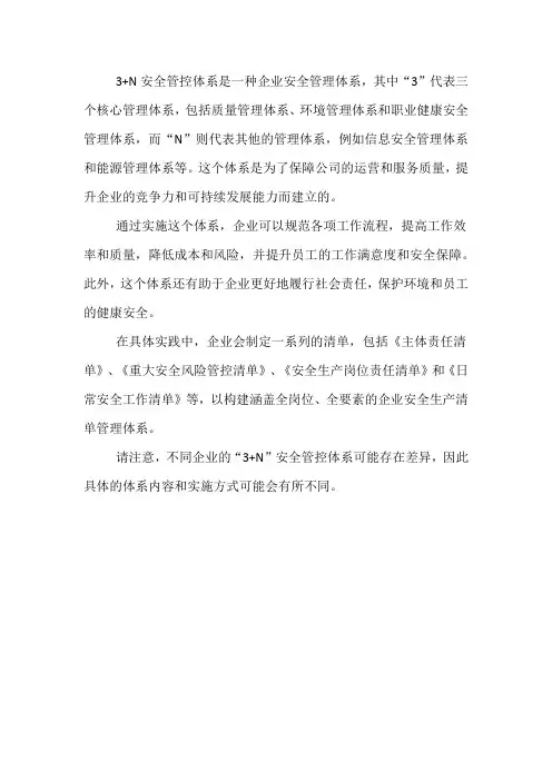3+n安全管控体系