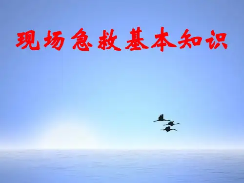 企业急救基本知识(培训资料)