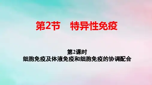 2025版新教材高中生物第4章细胞免疫及体液免疫和细胞免疫的协调配合pptx课件新人教版选择性必修1