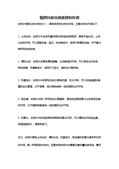 枇杷叶的功效原理和作用