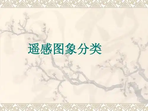 遥感图像分类