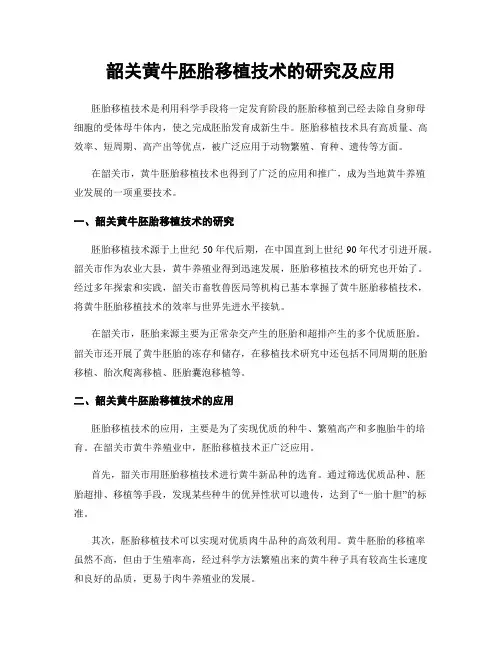 韶关黄牛胚胎移植技术的研究及应用