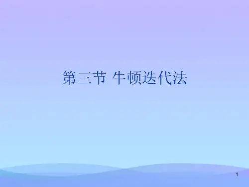 第三节 牛顿迭代法精品PPT资料