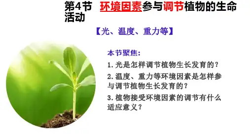 生物人教版(2019)选择性必修1 5.4环境因素参与调节植物的生命活动(共21张ppt)