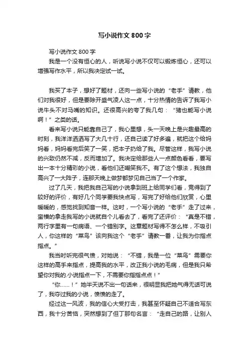 写小说作文800字