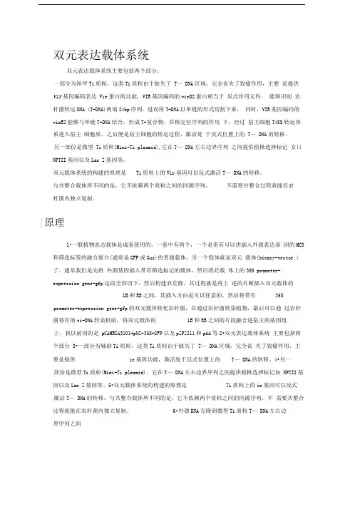 双元表达载体系统
