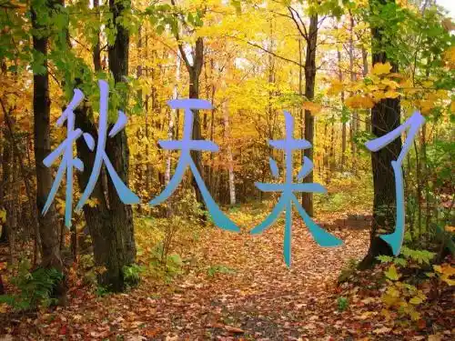 《秋天来了》PPT课件