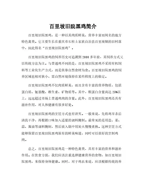 百里坡旧院黑鸡简介