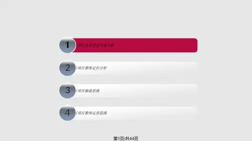 天津市海河科技园项目操盘思路建议