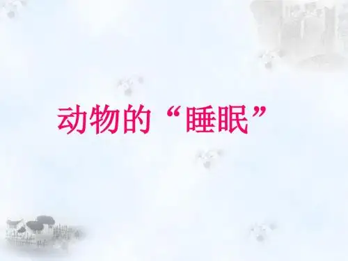 《动物的“睡眠”》课件2-优质公开课-西南师大四下精品