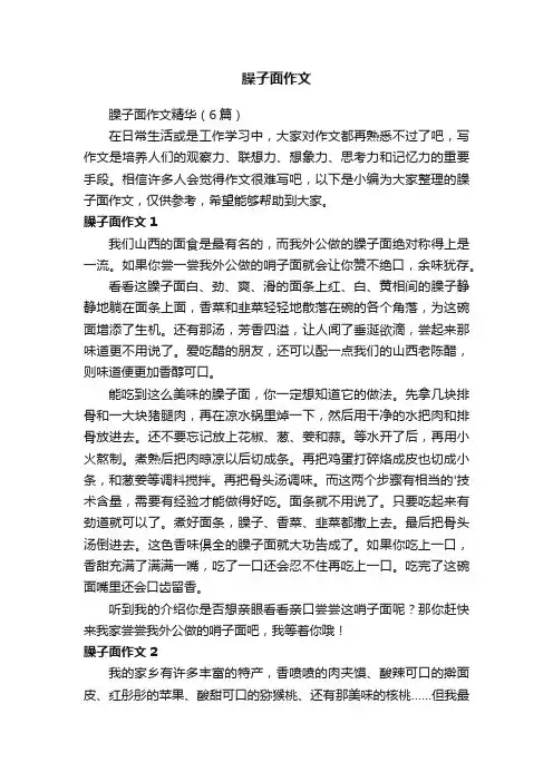 臊子面作文