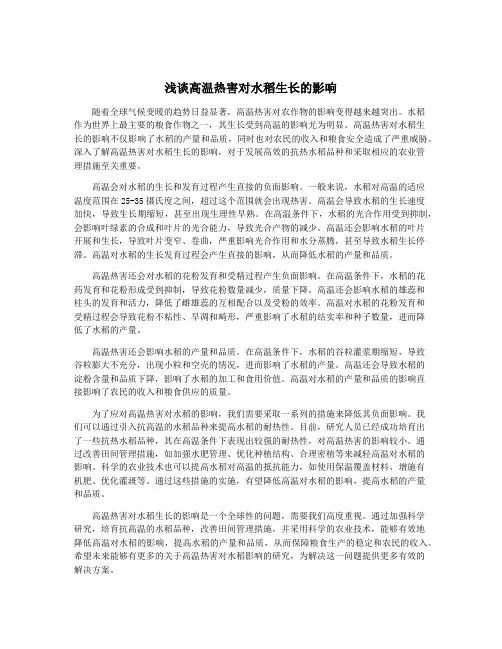 浅谈高温热害对水稻生长的影响