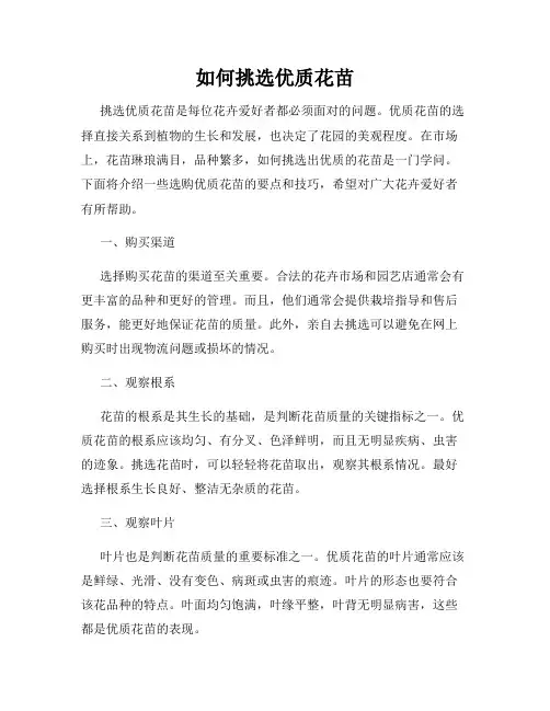 如何挑选优质花苗