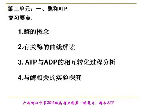 第5讲：酶和ATP