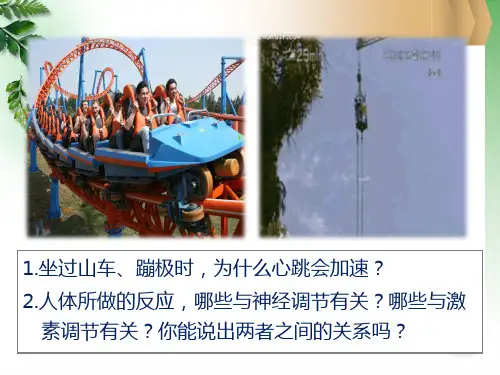 2.3神经调节与体液调节的关系