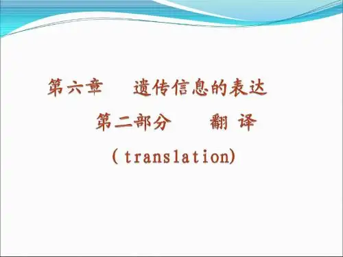 《蛋白质的翻译》PPT课件