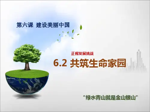人教版道德与法治九上共筑生命家园课件(共17张PPT)