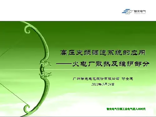 高压变频调速系统的应用(付金建)
