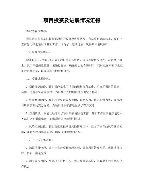 项目投资及进展情况汇报