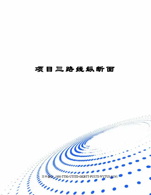 项目三路线纵断面