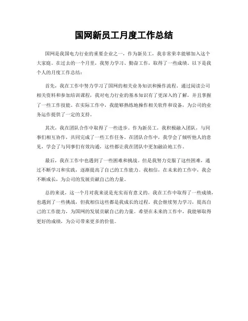 国网新员工月度工作总结
