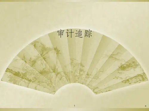 审计追踪