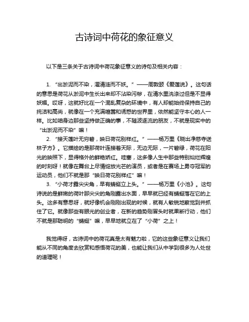 古诗词中荷花的象征意义