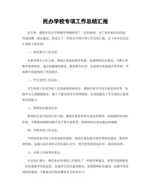 民办学校专项工作总结汇报