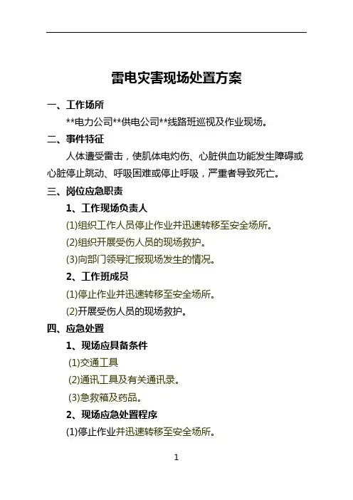雷电灾害现场处置方案
