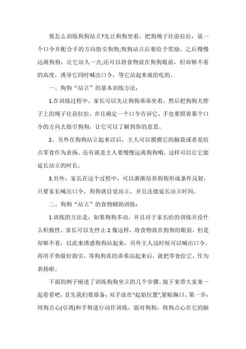 训练狗狗立的方法