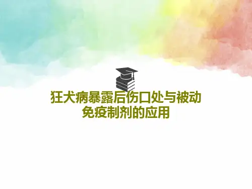 狂犬病暴露后伤口处与被动免疫制剂的应用101页PPT