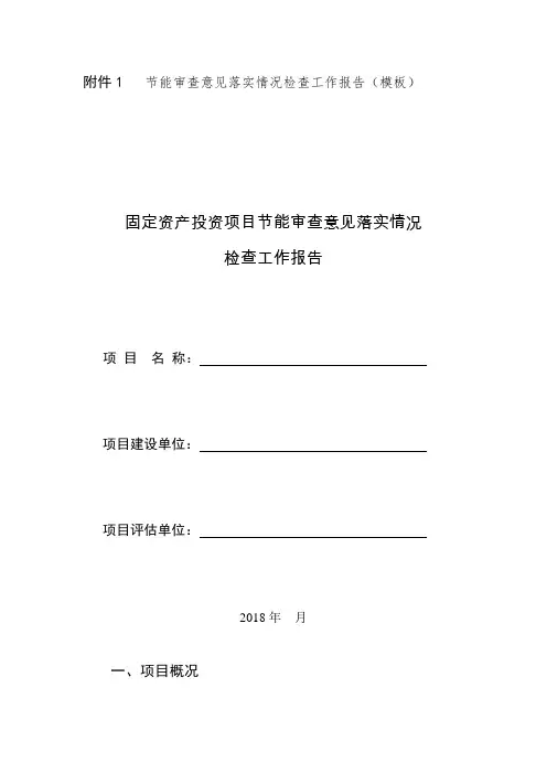 节能审查意见落实情况检查工作报告模板