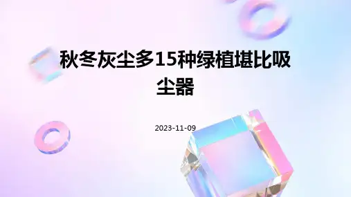 秋冬灰尘多15种绿植堪比吸尘器