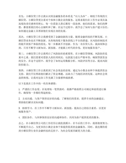 小额信贷公司工作感想