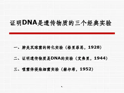 证明DNA是遗传物质的三个经典实验