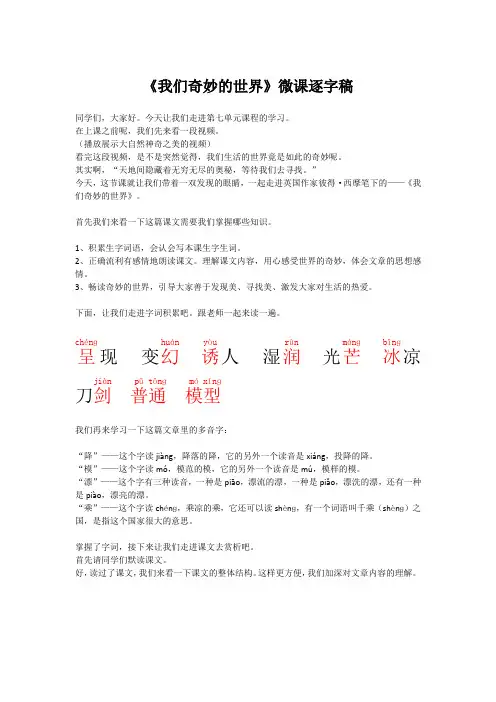 我们奇妙的世界说课稿