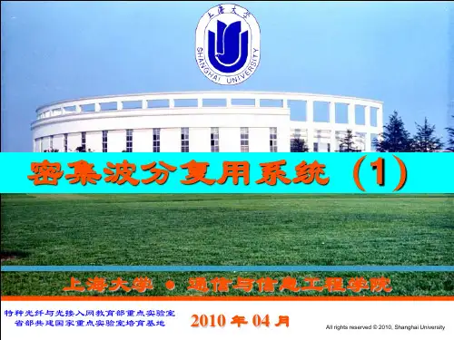 密集波分复用系统(1)