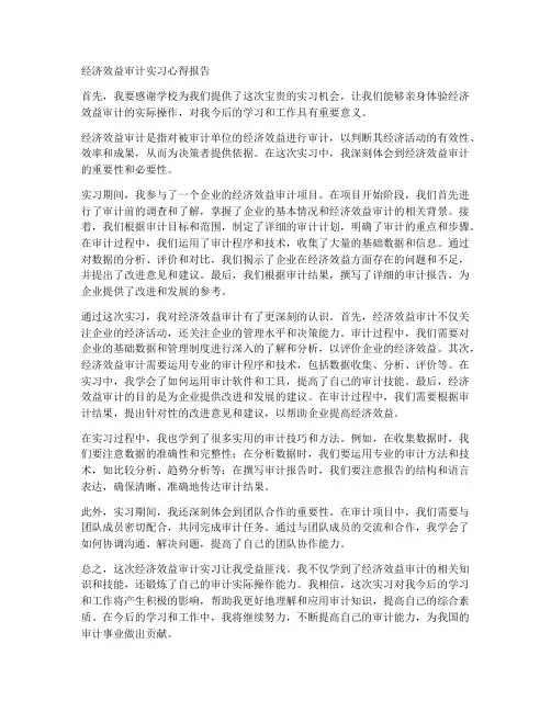 经济效益审计实习心得报告